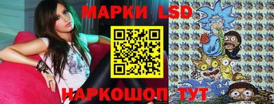a pvp Новозыбков
