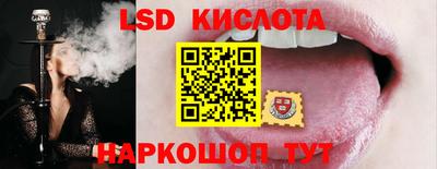 a pvp Новозыбков