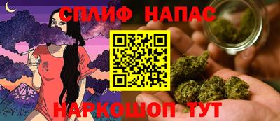 a pvp Новозыбков