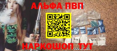 a pvp Новозыбков