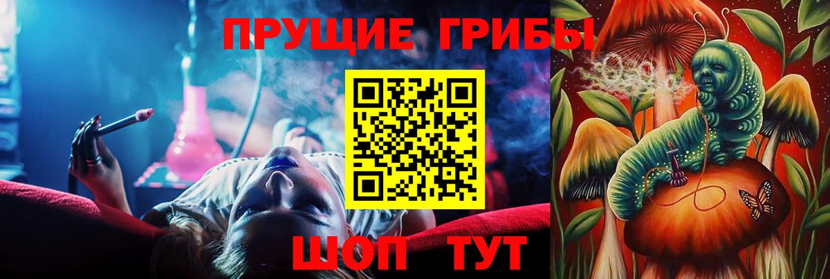 Сосновый Бор  Галлюциногенные грибы прущие грибы  Вход с VPN  Галлюциногенные грибы прущие грибы 