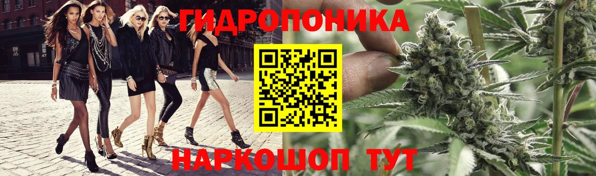Каннабис индика Сосновый Бор